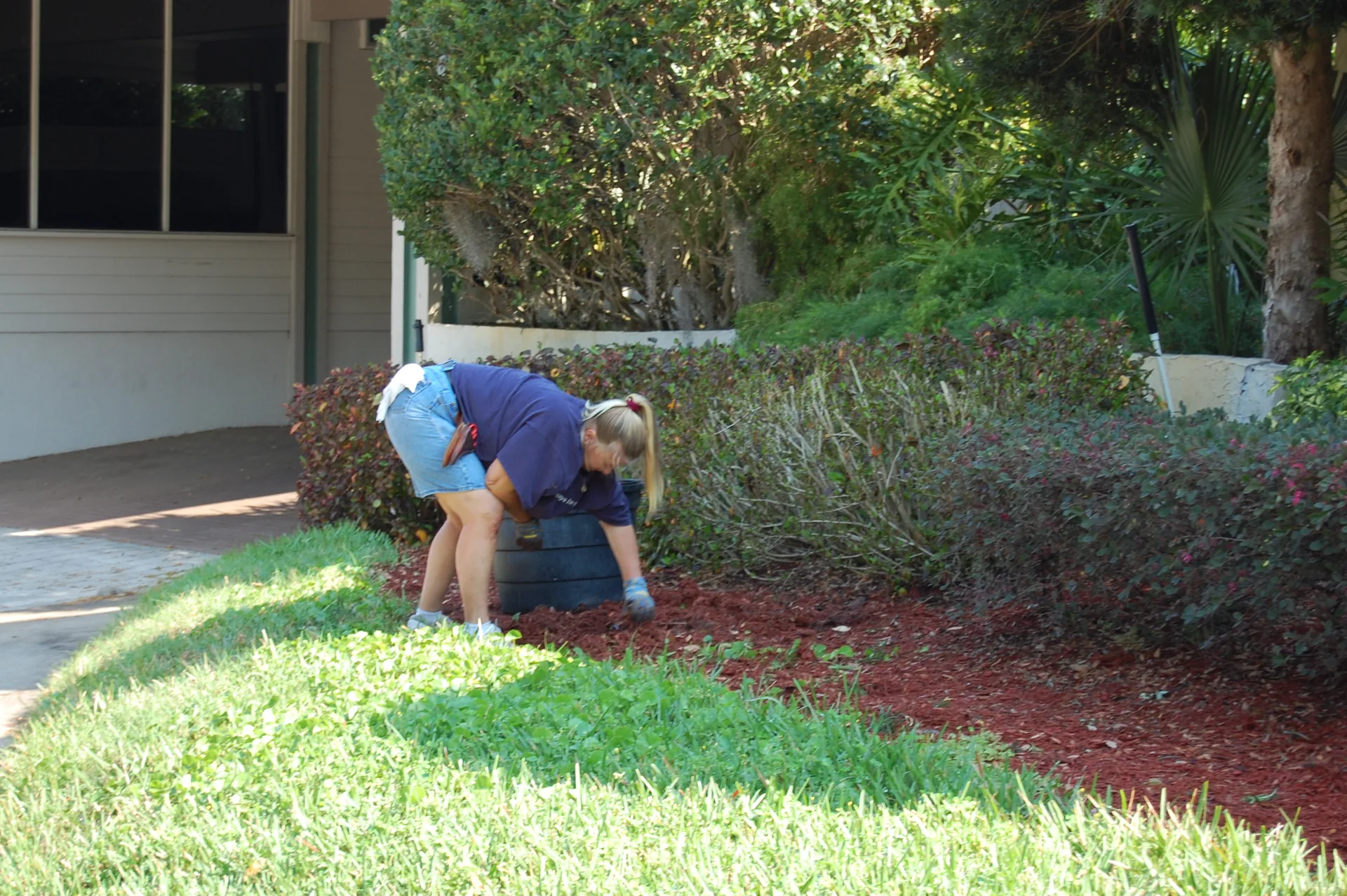 A landscaper working in a planted yard